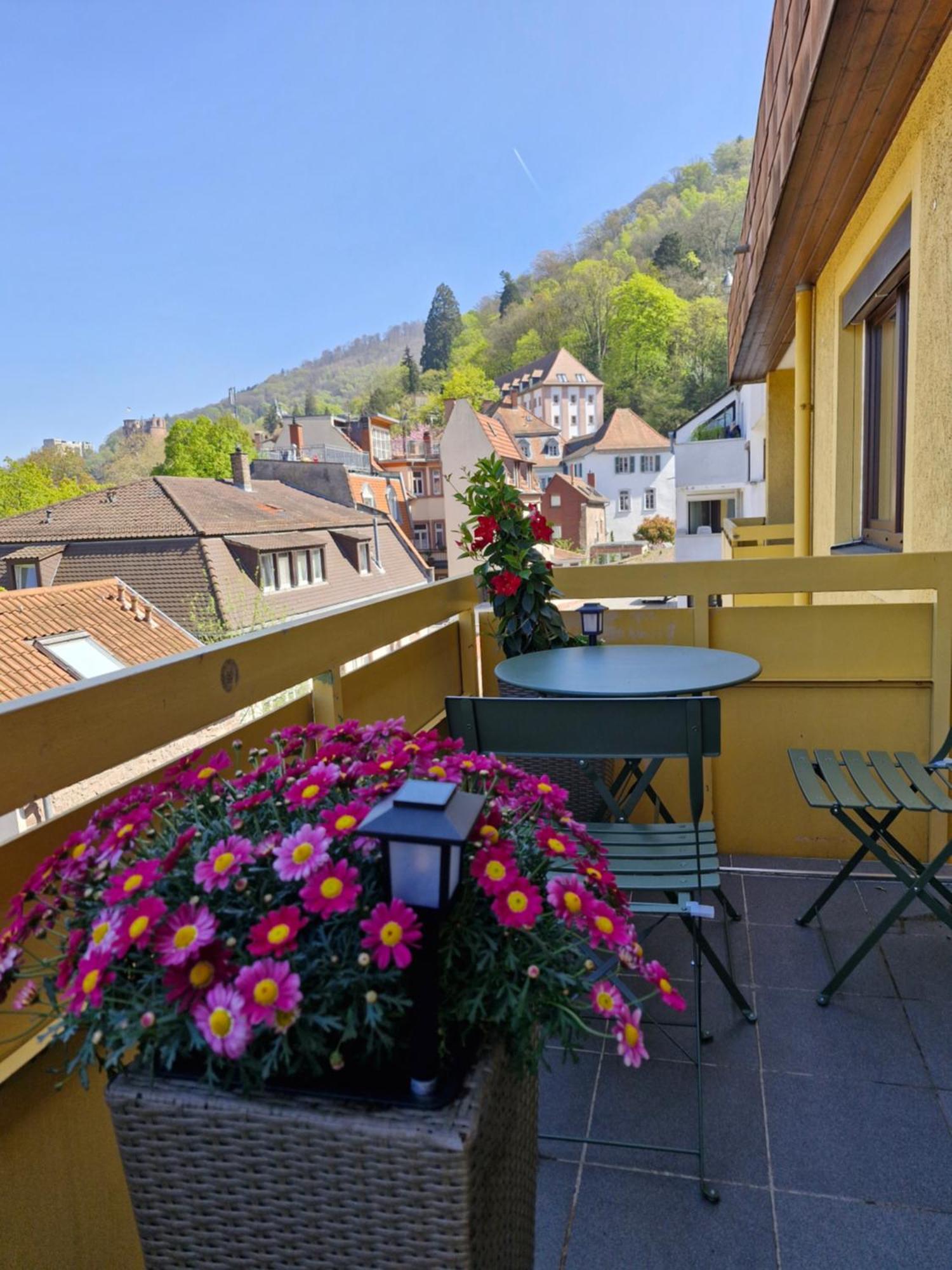 Altstadtblick Heidelberg