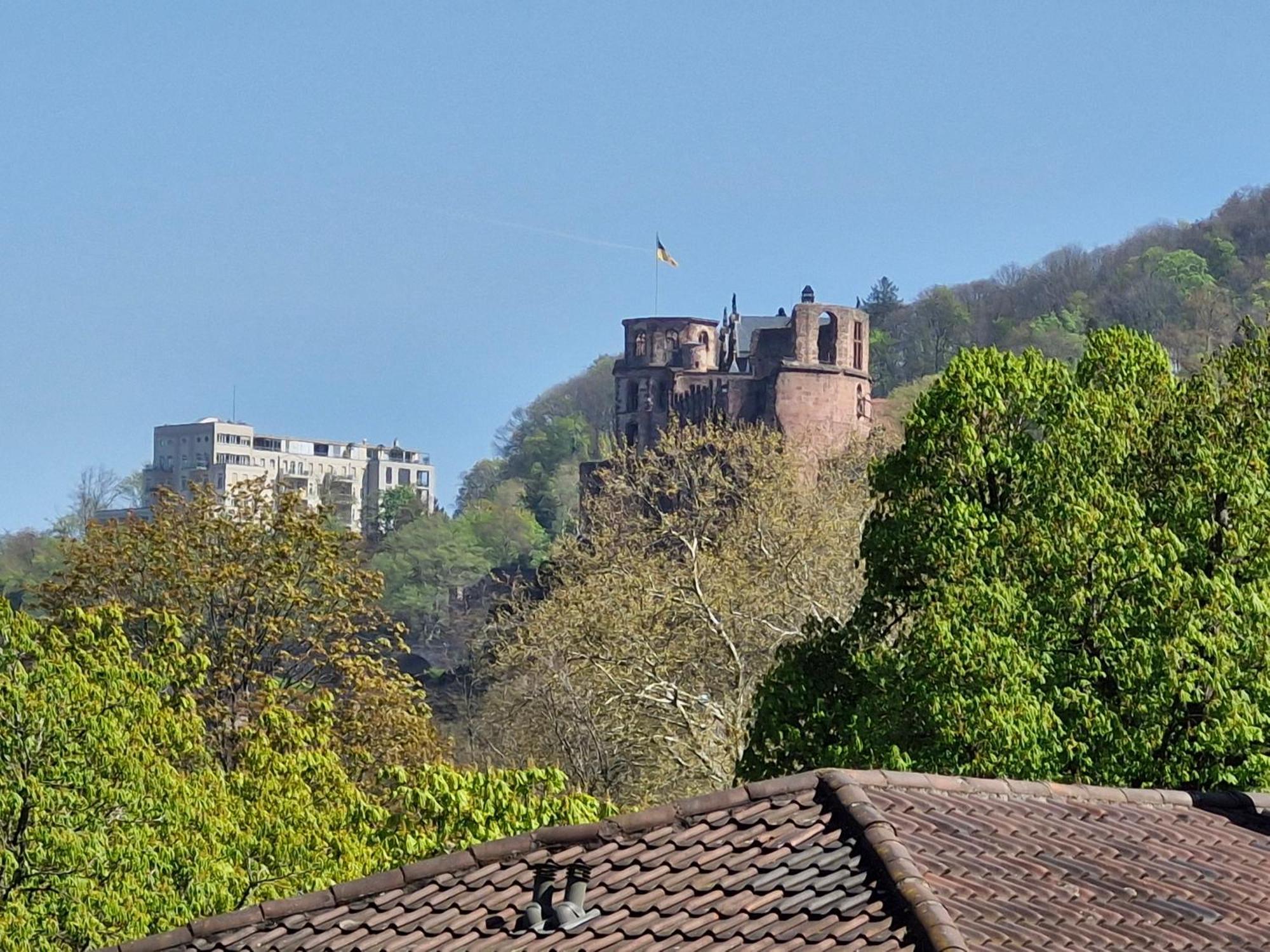 Altstadtblick