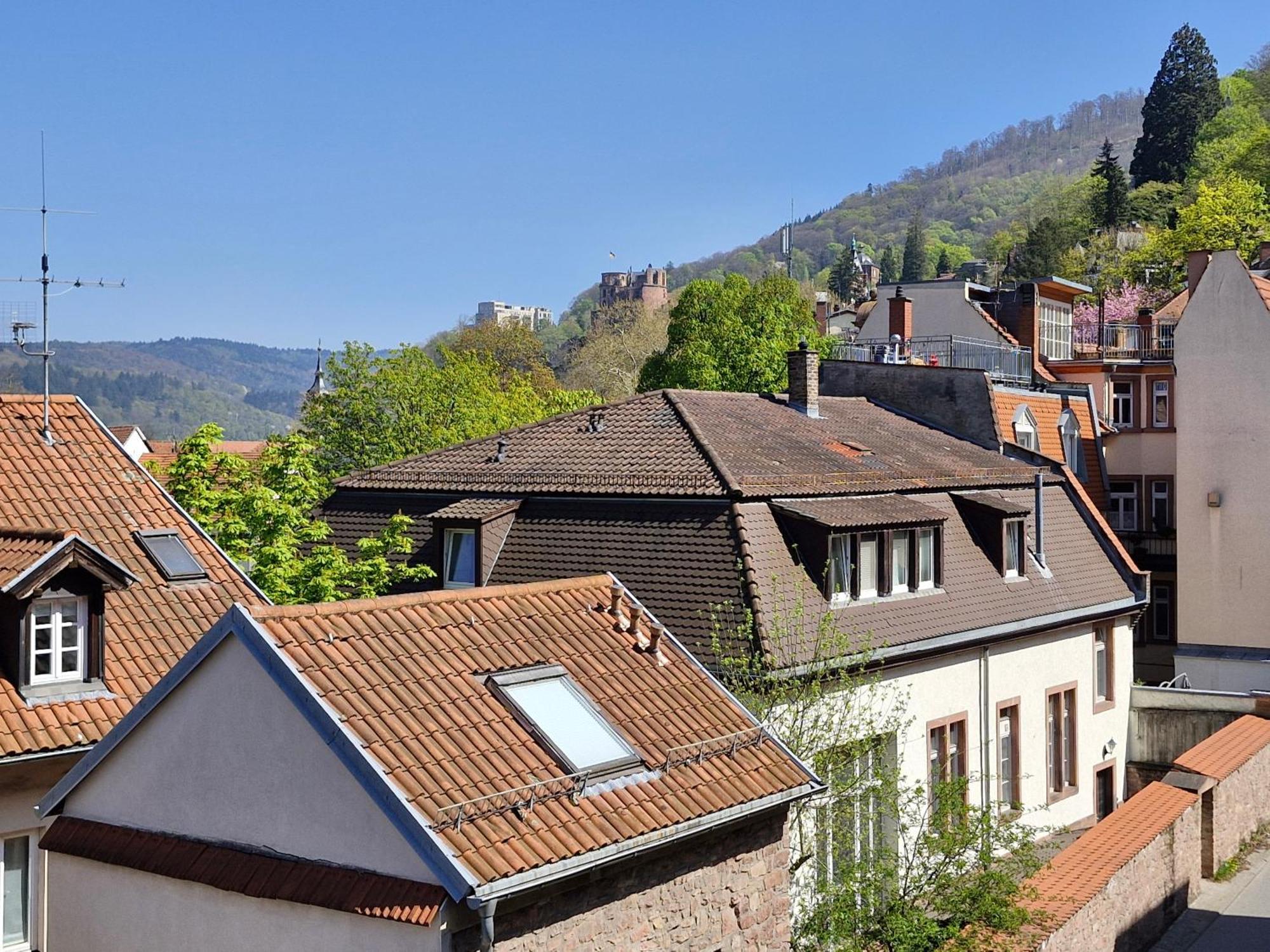 Apartment Altstadtblick *