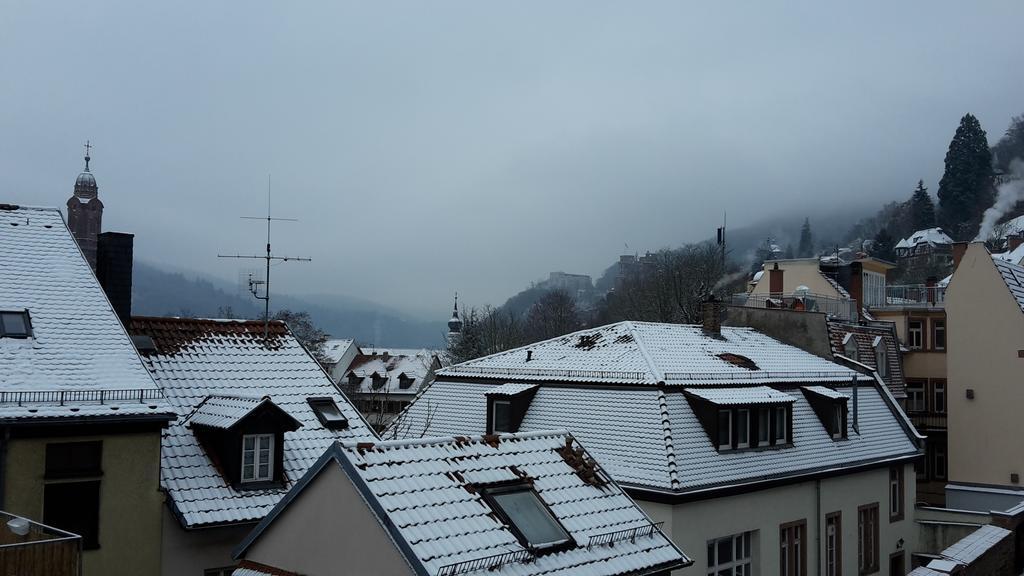 Altstadtblick Heidelberg